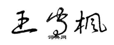 曾慶福王守楓草書個性簽名怎么寫