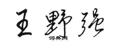 駱恆光王野強行書個性簽名怎么寫