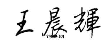 王正良王晨輝行書個性簽名怎么寫