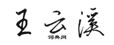 駱恆光王雲溪行書個性簽名怎么寫