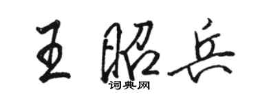 駱恆光王昭兵行書個性簽名怎么寫
