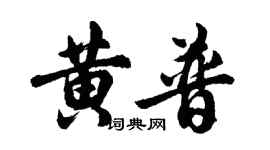 胡問遂黃普行書個性簽名怎么寫