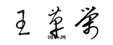 駱恆光王革榮草書個性簽名怎么寫