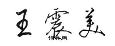 駱恆光王震美行書個性簽名怎么寫