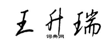 王正良王升瑞行書個性簽名怎么寫