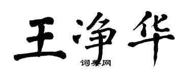 翁闓運王淨華楷書個性簽名怎么寫