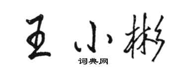 駱恆光王小彬行書個性簽名怎么寫