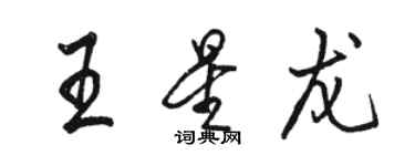 駱恆光王星龍行書個性簽名怎么寫