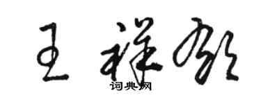 駱恆光王祥郁草書個性簽名怎么寫