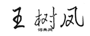 駱恆光王樹鳳行書個性簽名怎么寫