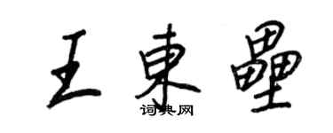 王正良王東壘行書個性簽名怎么寫