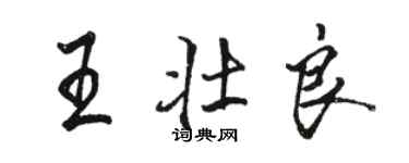 駱恆光王壯良行書個性簽名怎么寫