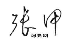 駱恆光張甲草書個性簽名怎么寫