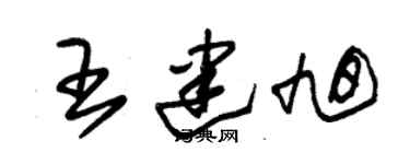 朱錫榮王建旭草書個性簽名怎么寫