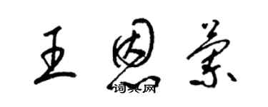 梁錦英王恩蘭草書個性簽名怎么寫