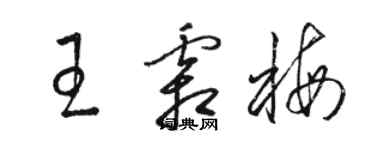 駱恆光王霜梅草書個性簽名怎么寫