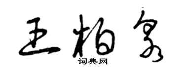 曾慶福王柏泉草書個性簽名怎么寫