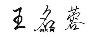 駱恆光王名蓉行書個性簽名怎么寫