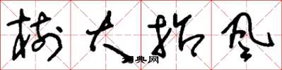 劉少英樹大招風草書怎么寫