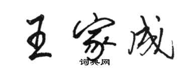 駱恆光王家成行書個性簽名怎么寫