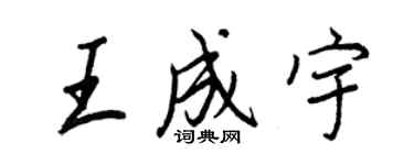 王正良王成宇行書個性簽名怎么寫