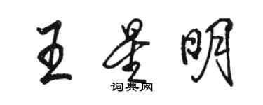 駱恆光王星明行書個性簽名怎么寫