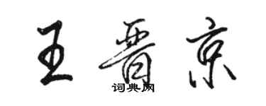 駱恆光王晉京行書個性簽名怎么寫