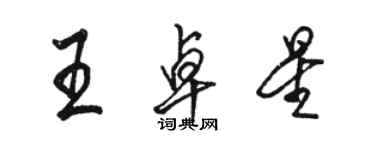 駱恆光王卓星行書個性簽名怎么寫