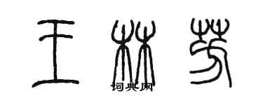 陳墨王林芳篆書個性簽名怎么寫