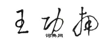 駱恆光王功南草書個性簽名怎么寫