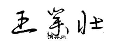 曾慶福王業壯草書個性簽名怎么寫