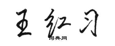 駱恆光王紅習行書個性簽名怎么寫