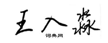 王正良王入淼行書個性簽名怎么寫