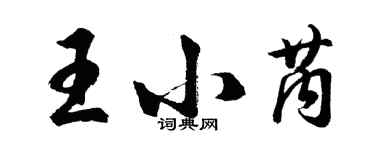 胡問遂王小芮行書個性簽名怎么寫