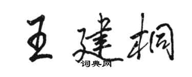 駱恆光王建桐行書個性簽名怎么寫
