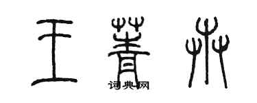 陳墨王菁卉篆書個性簽名怎么寫