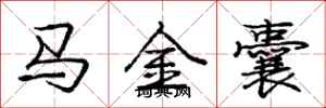 龐中華馬金囊行書怎么寫