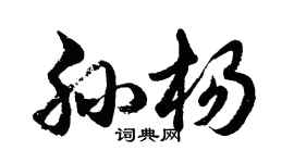 胡問遂孫楊行書個性簽名怎么寫