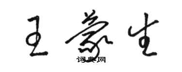 駱恆光王蒙生草書個性簽名怎么寫