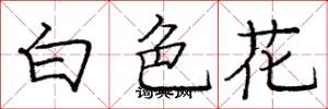 龐中華白色花楷書怎么寫