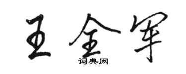 駱恆光王全軍行書個性簽名怎么寫