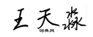 王正良王天淼行書個性簽名怎么寫