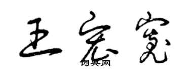 曾慶福王宏寬草書個性簽名怎么寫