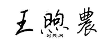 王正良王煦農行書個性簽名怎么寫