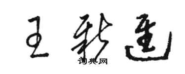 駱恆光王新進草書個性簽名怎么寫