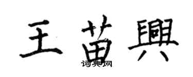 何伯昌王苗興楷書個性簽名怎么寫