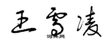 曾慶福王雪凌草書個性簽名怎么寫