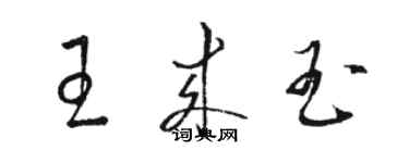 駱恆光王來玉草書個性簽名怎么寫