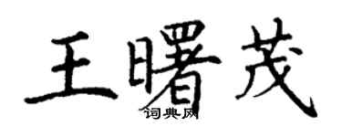 丁謙王曙茂楷書個性簽名怎么寫