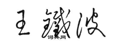 駱恆光王鐵波草書個性簽名怎么寫